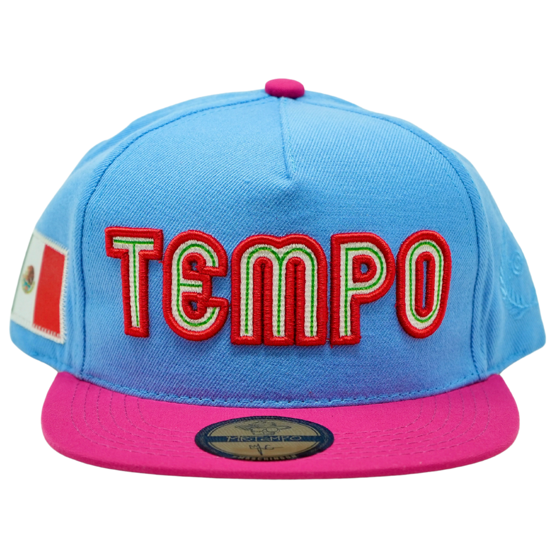 Mr. Tempo Pink/Blue Hat